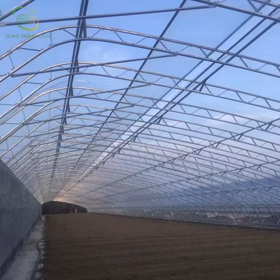 Tubo in acciaio al carbonio zincato per serre con impalcature a basso prezzo